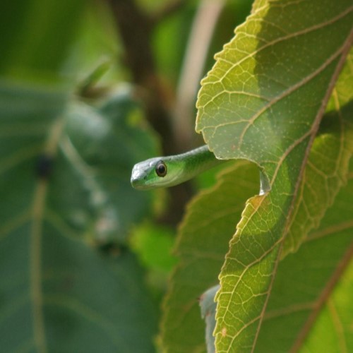 Estudos de Impacte Ambiental